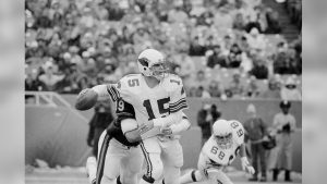 Chicago Bears Vs St. Louis Cardinals