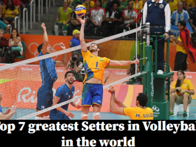 setters