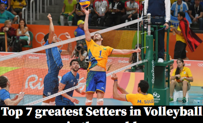 setters