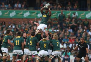 south africa rugby union