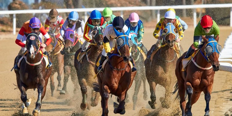 The 5 Most Prized Thoroughbred Horse Races in America